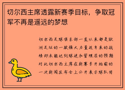 切尔西主席透露新赛季目标，争取冠军不再是遥远的梦想