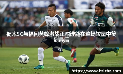 枥木SC与福冈黄蜂激战正酣谁能在这场较量中笑到最后